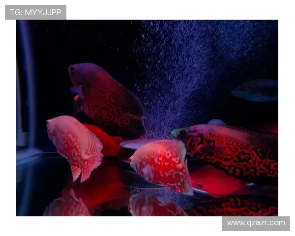 向鱼 王者：探索水下世界的奇幻冒险与英雄崛起之路